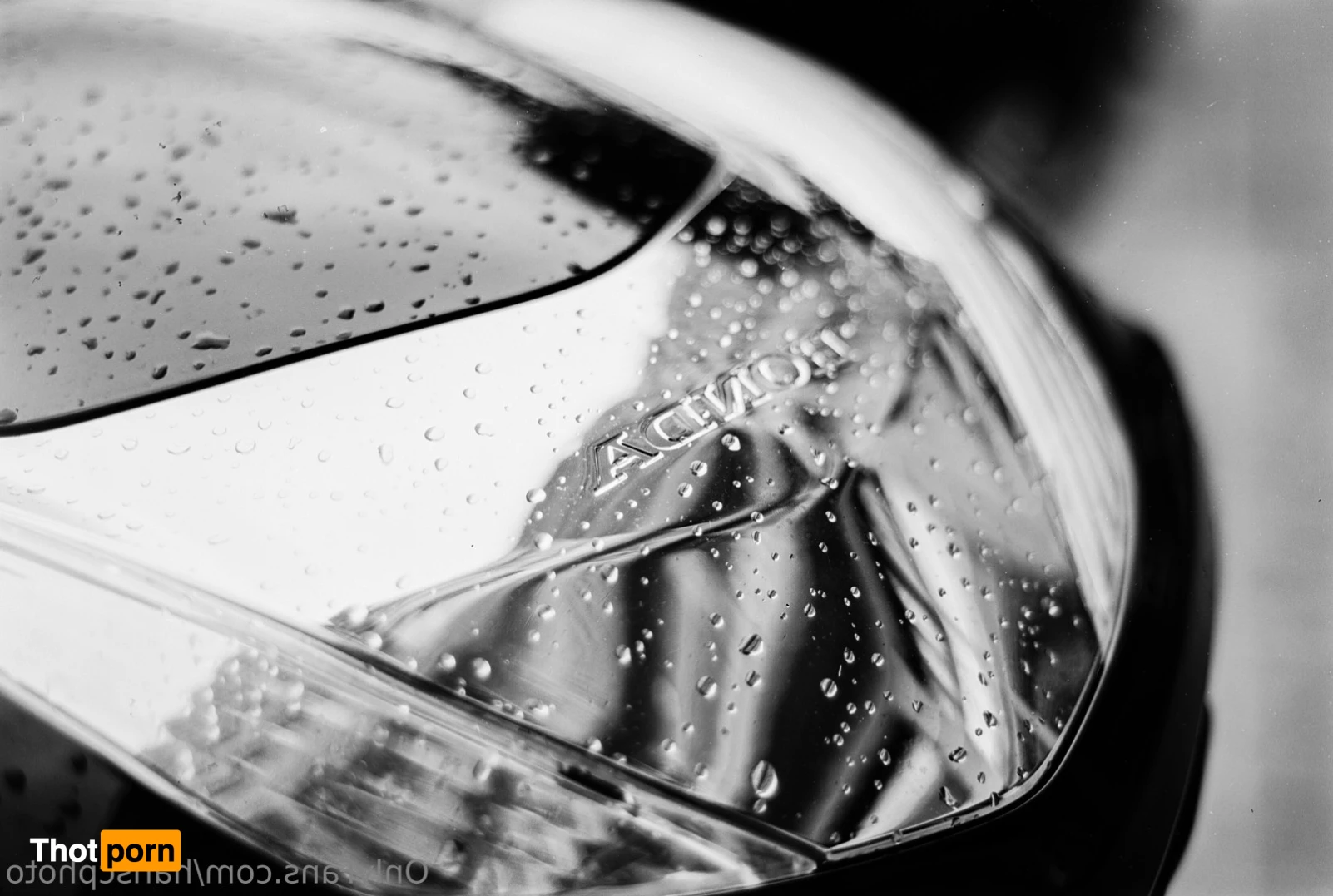 Hans C Photography 10492323