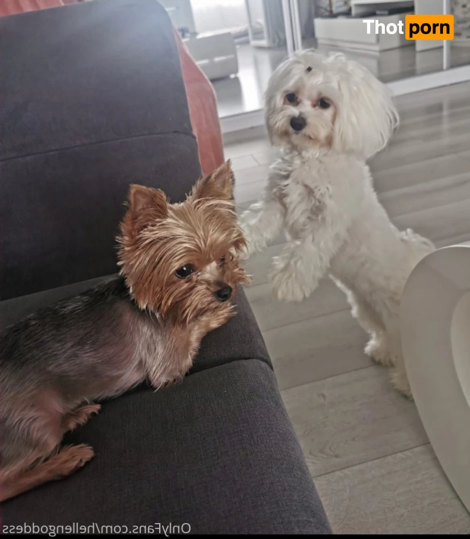 Hellen Goddess 7651705