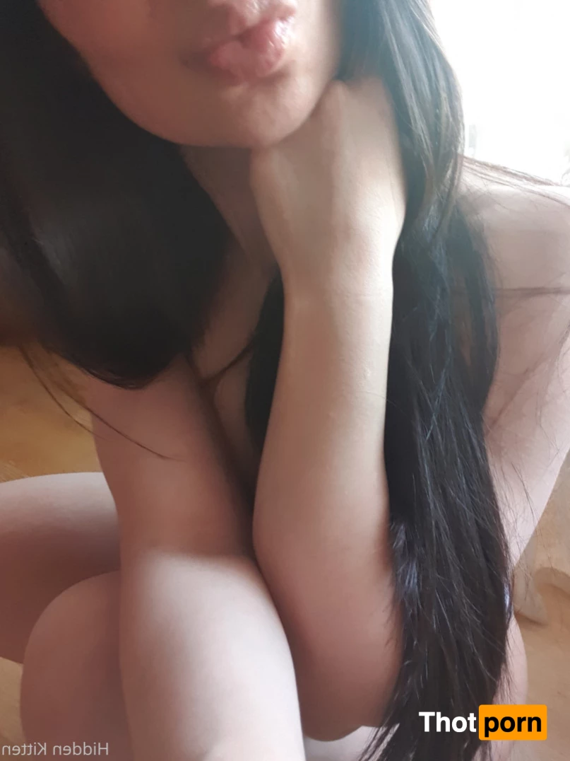 Hidden Kitten 7650895