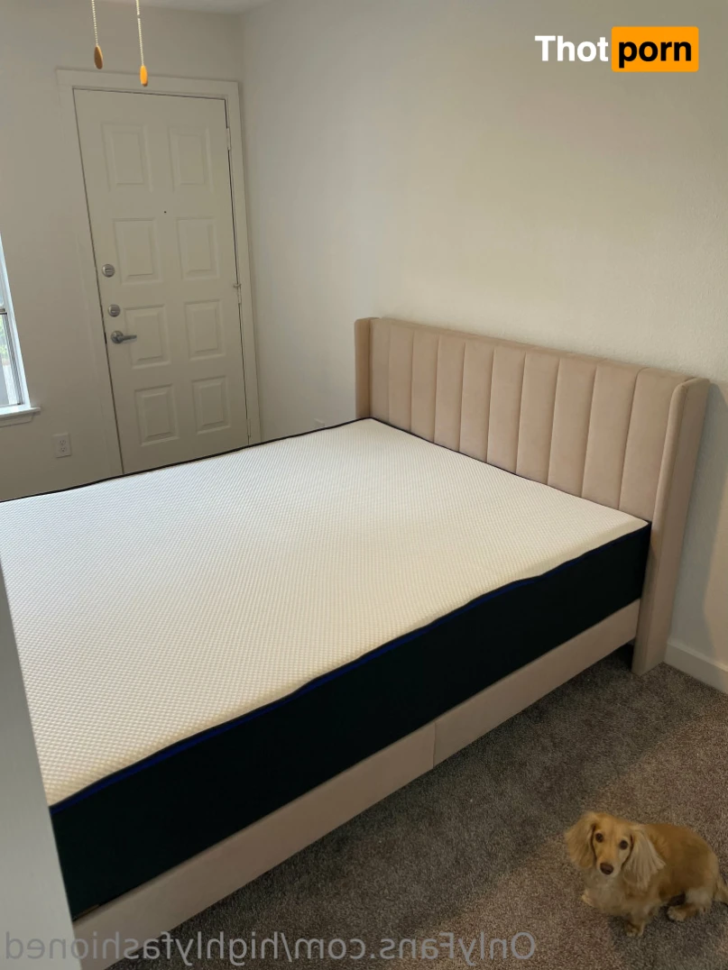 highlyfashioned 12356496