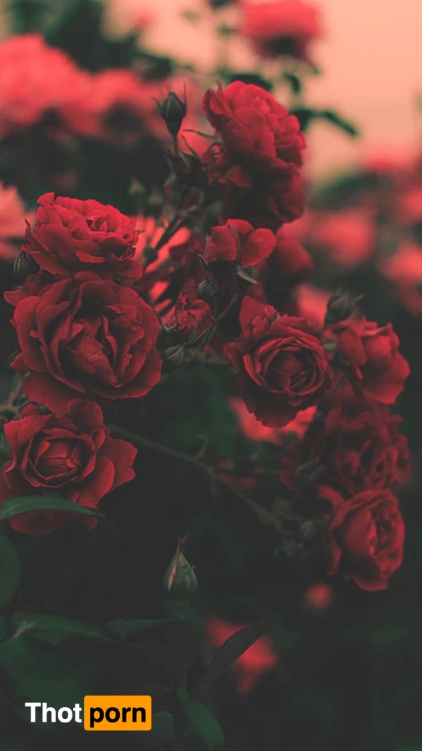 Jinkies Velma 6897980