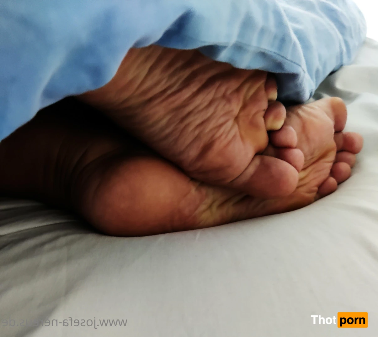 Josefa Nereus 7346466