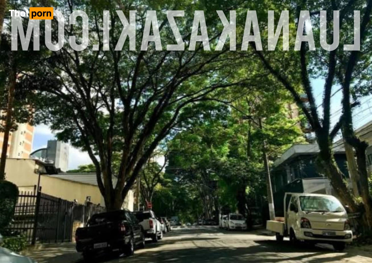 Sexo / Exibicionismo / Arthur Urso 7003978