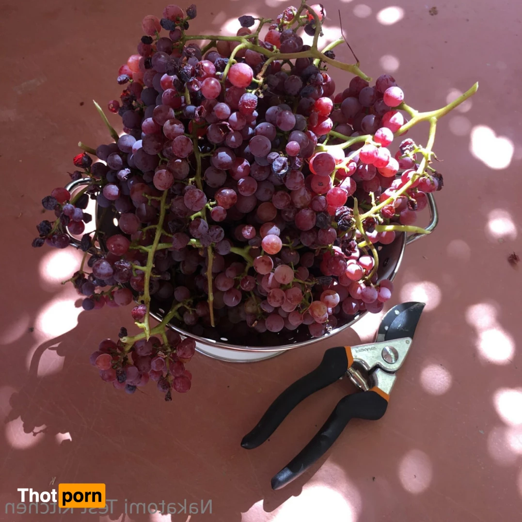 Kelly Nakatomi 7404936