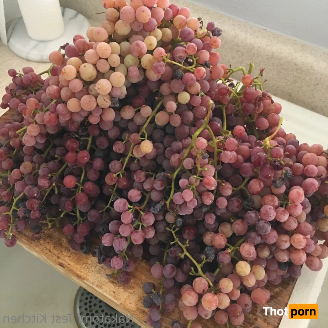 Kelly Nakatomi 7405018