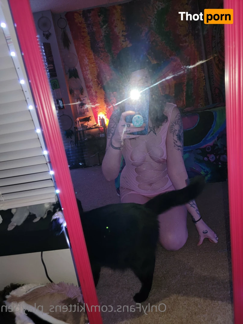 Kitten/Kat🐈🌸 10741179