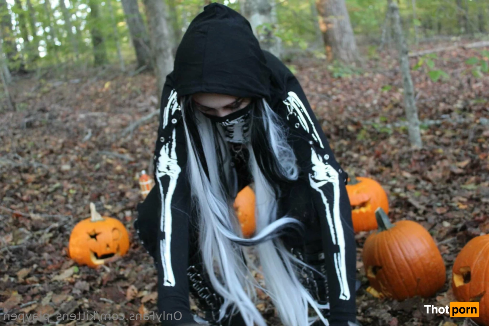 Kitten/Kat🐈🌸 10743278