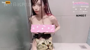 7365386
