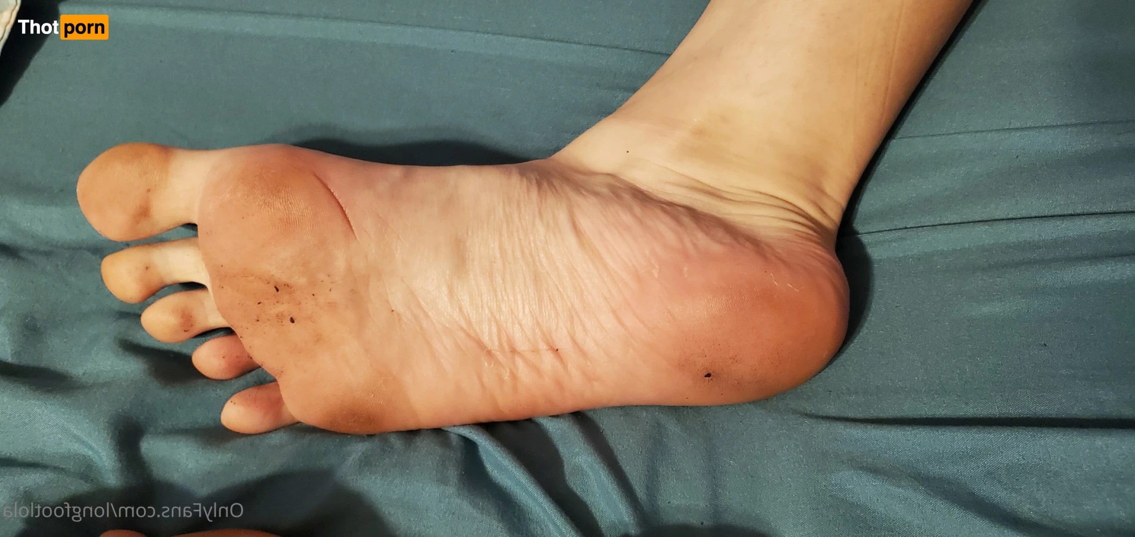 Lola Longfoot 7451956