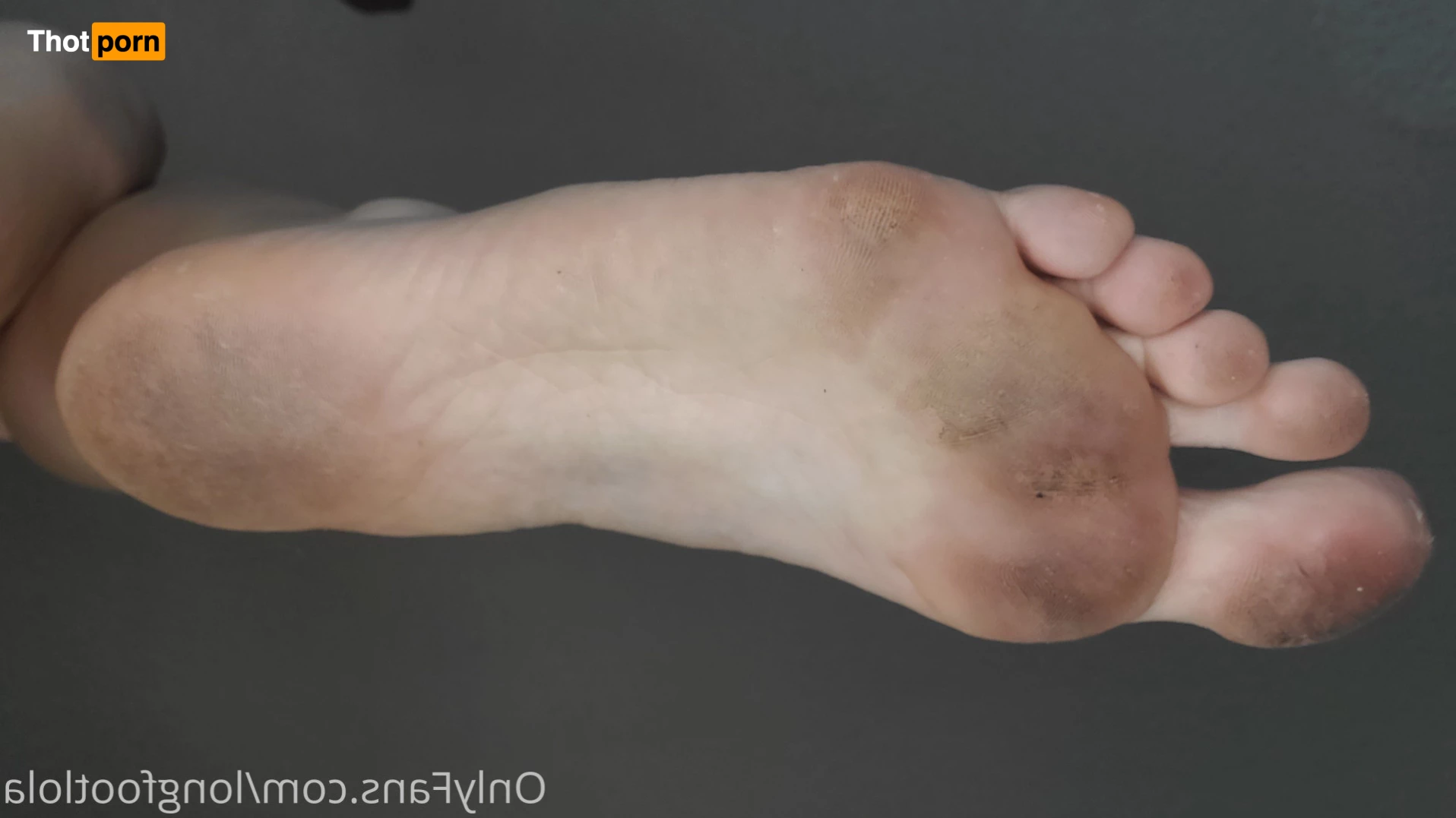 Lola Longfoot 7452025