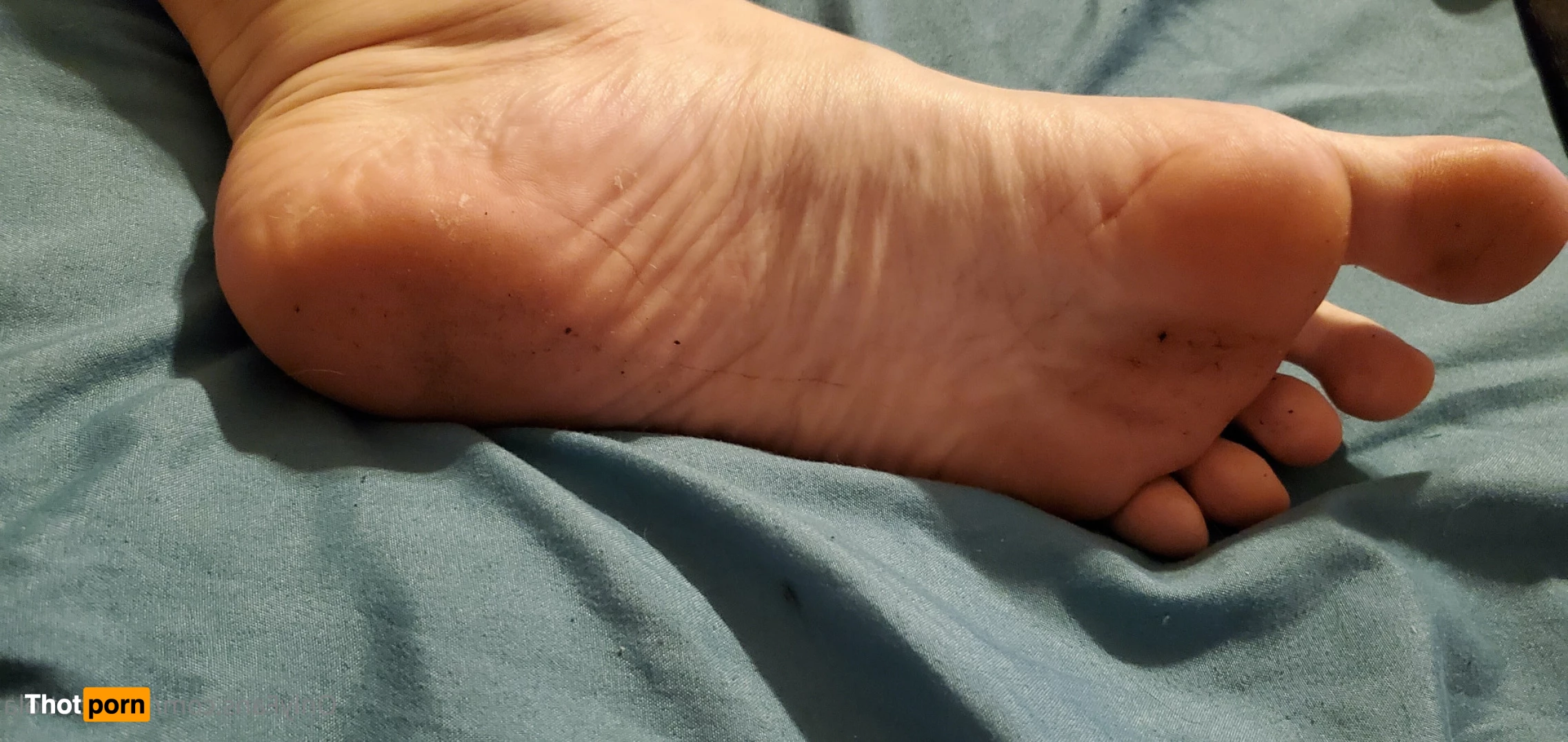 Lola Longfoot 7452142