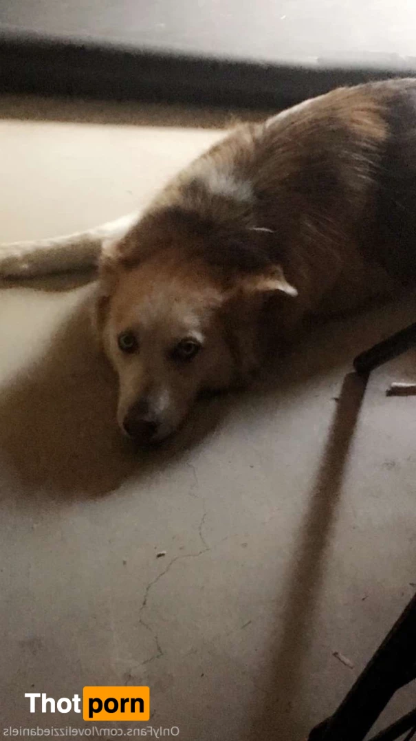 Love Lizzie Daniels 7325579