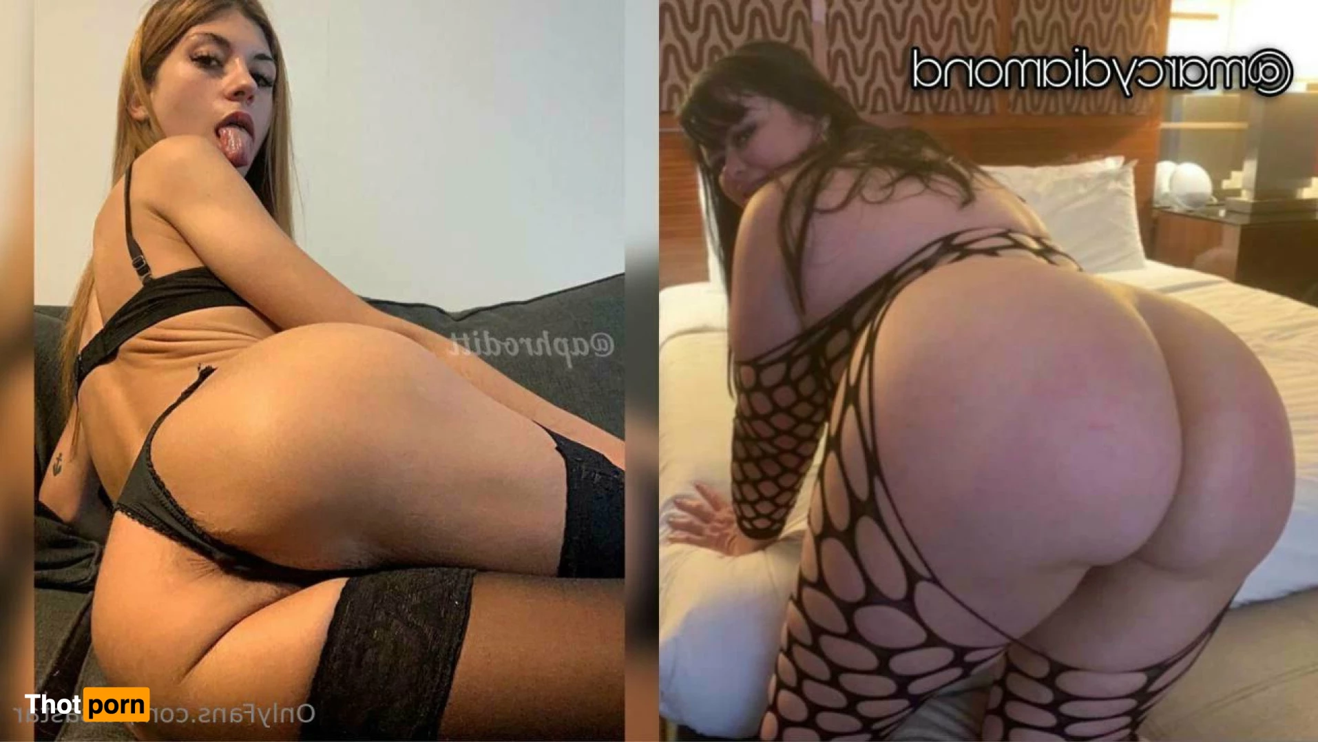 ✨ Luisa Star ✨ 6502205