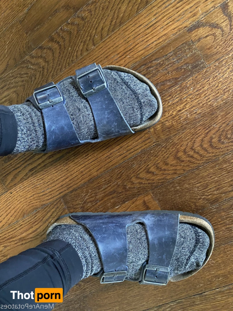 The Miss Ginger FREE 🌸 7268463