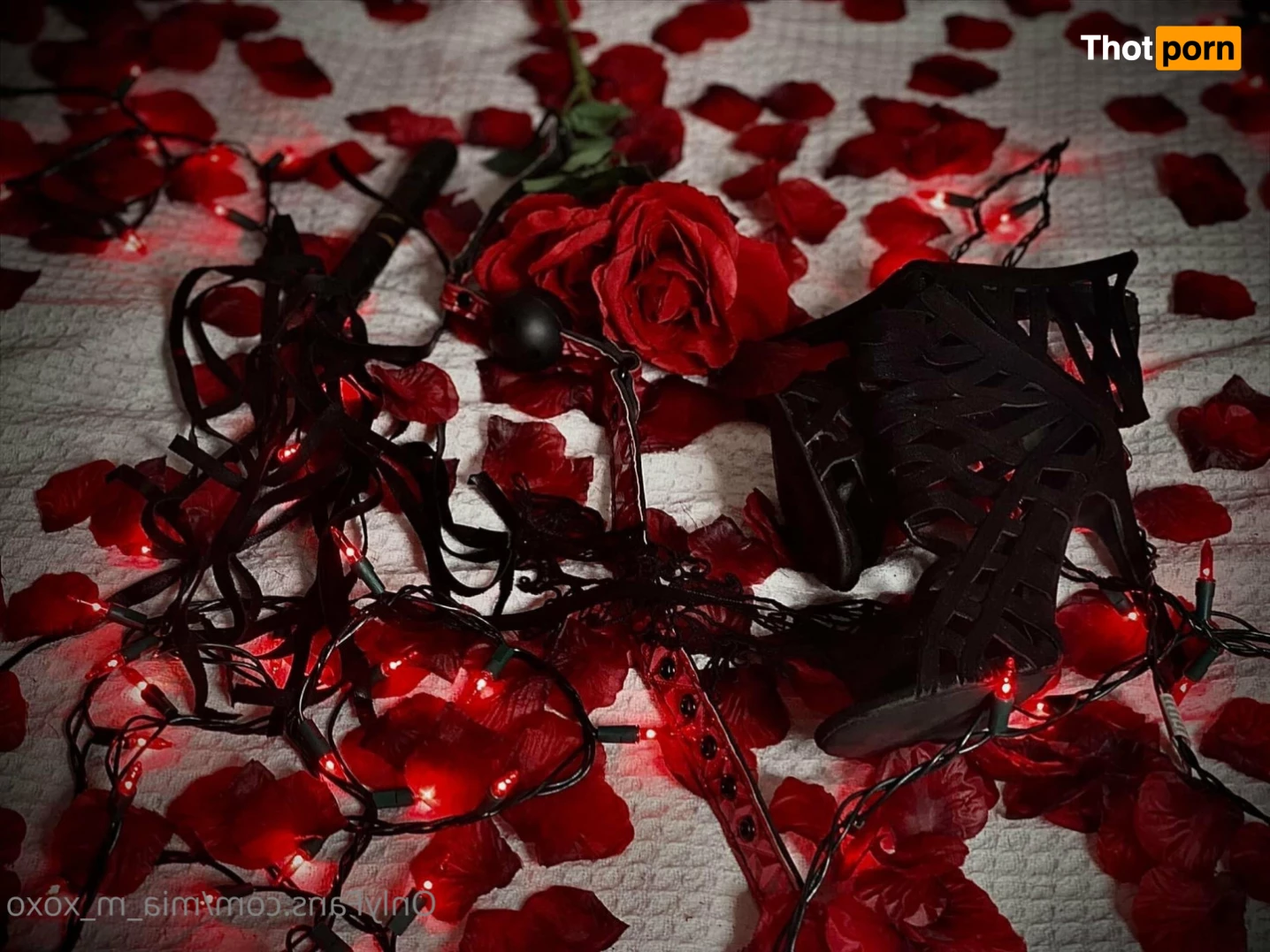 ❤️‍🔥✨Mɪᴀ_ᴍᴀʟᴏɴᴇ ✨🔞 7267895