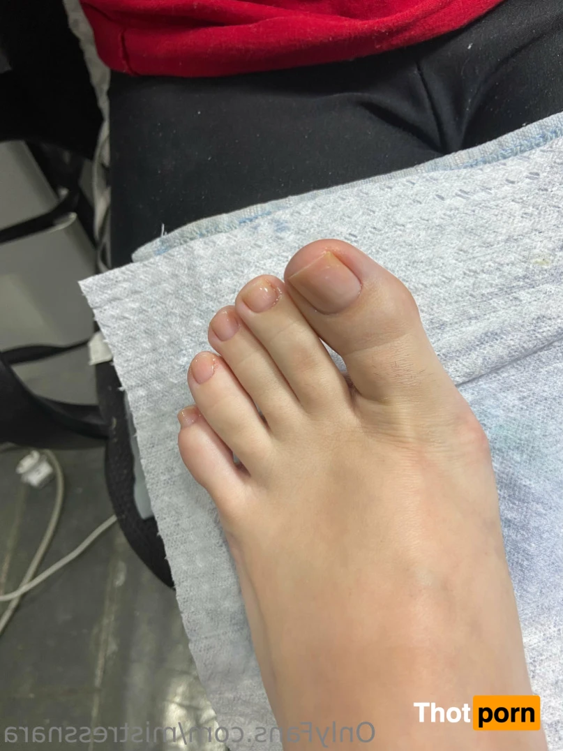 Nara Neveu 🌹 14407256