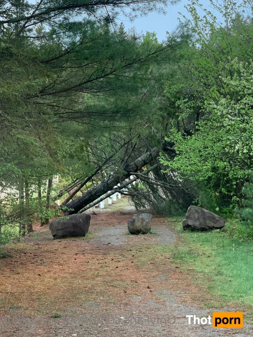 Mutiny   🇨🇦 🍑 7424247