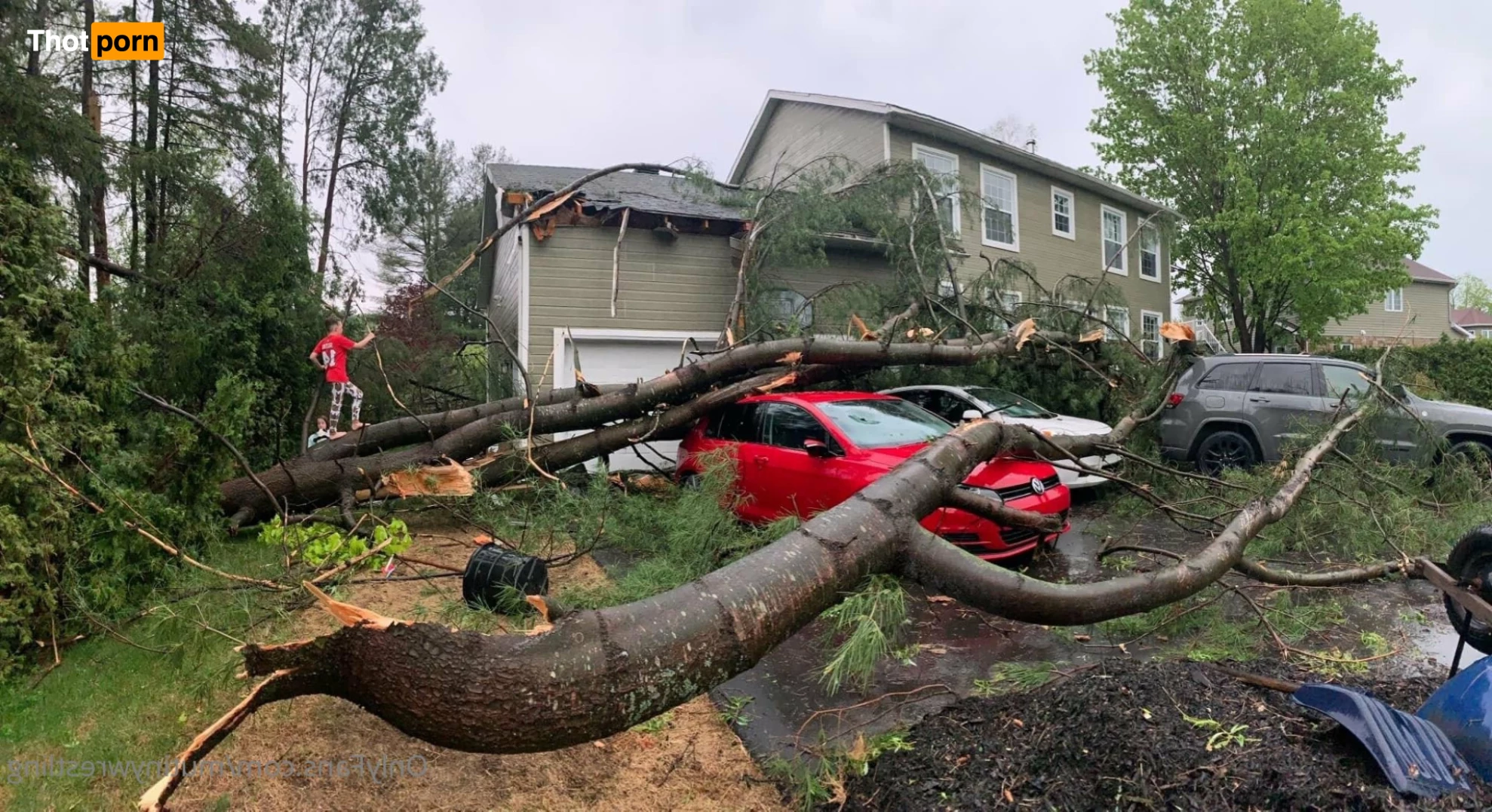 Mutiny   🇨🇦 🍑 7424296