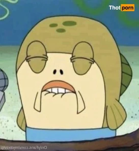 7255955