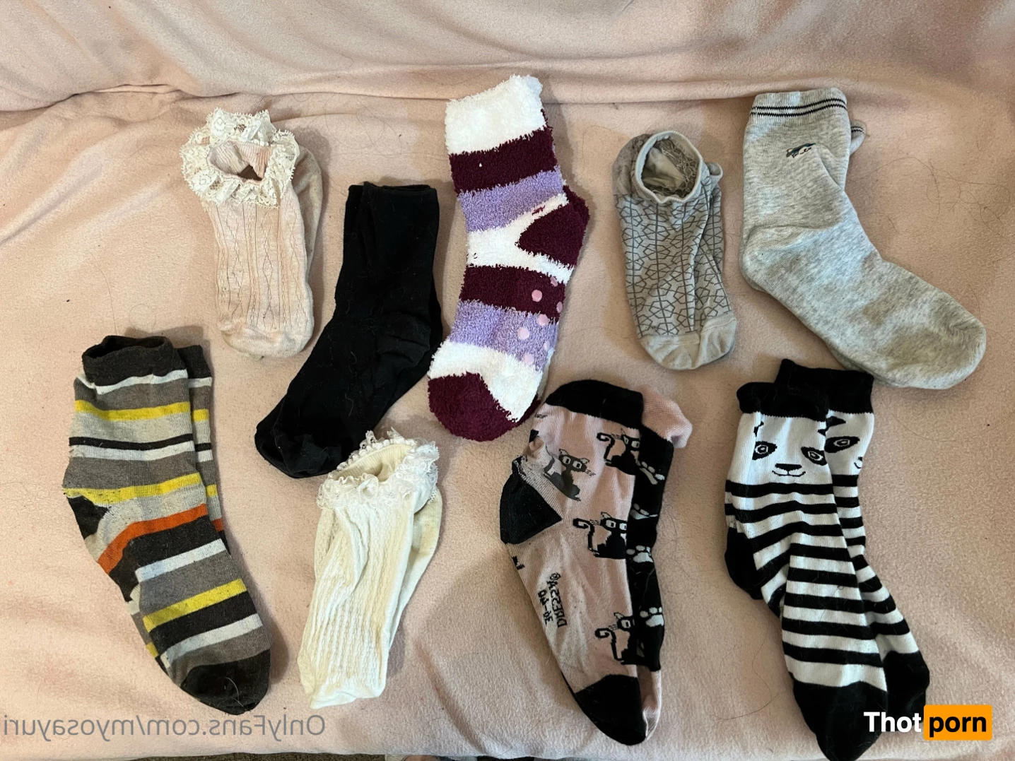 🌙💗Sayuri Myo(*'▽'*)🌸🌙 6851750