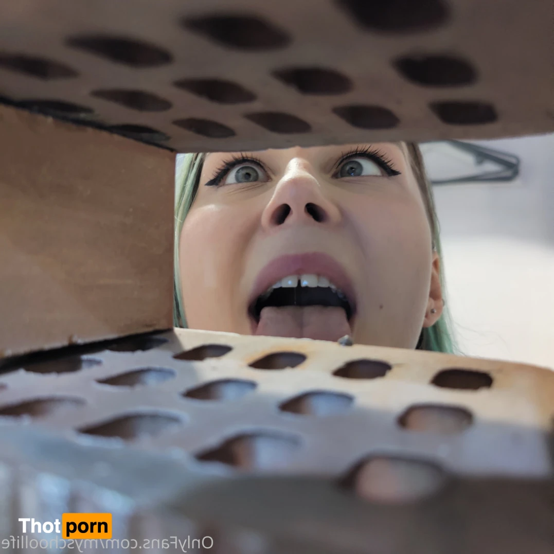 MySchoolLife 14107120