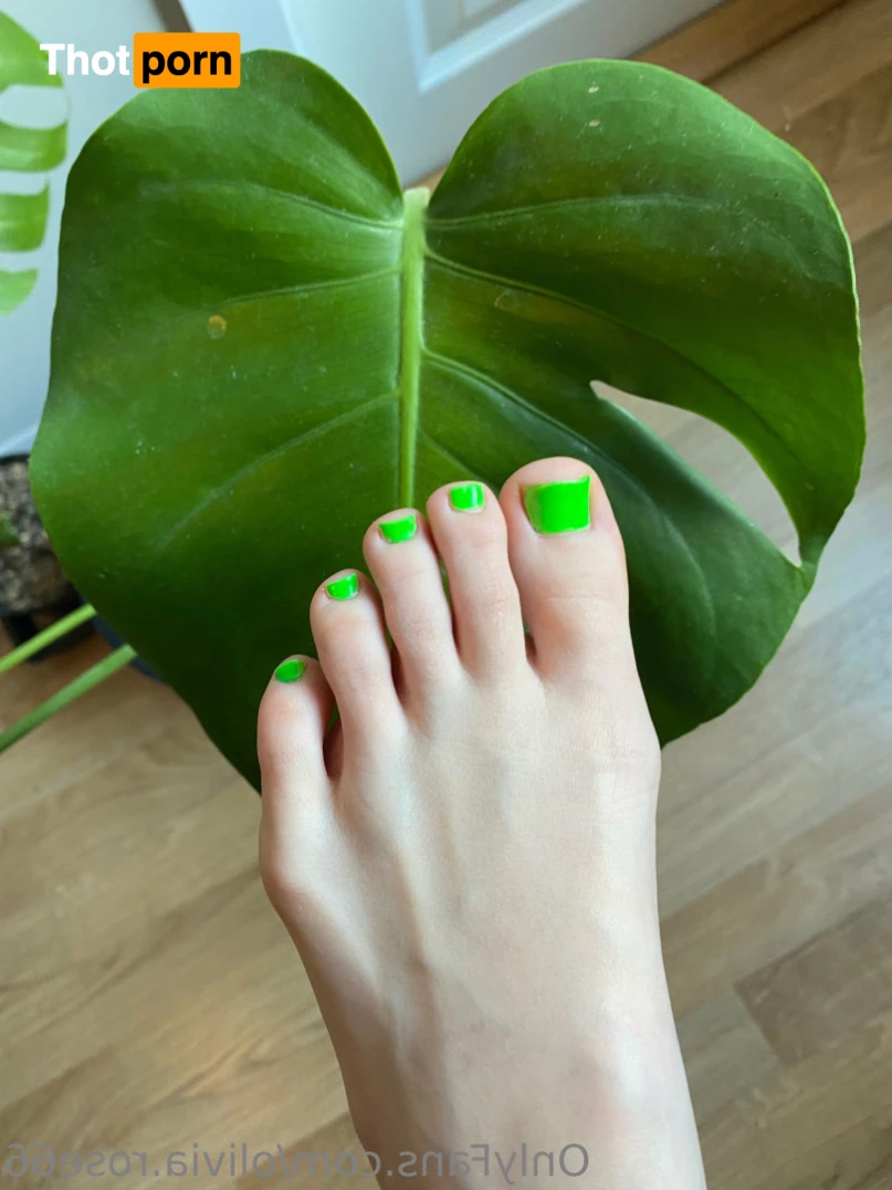 Olivia Rose 10455194