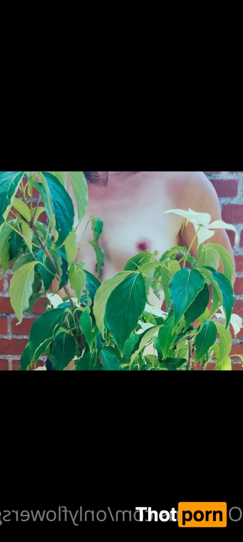 onlyflowersgirl 7334086