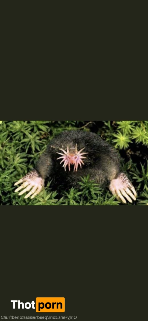 Peachesisastonedfruit2free 7358877