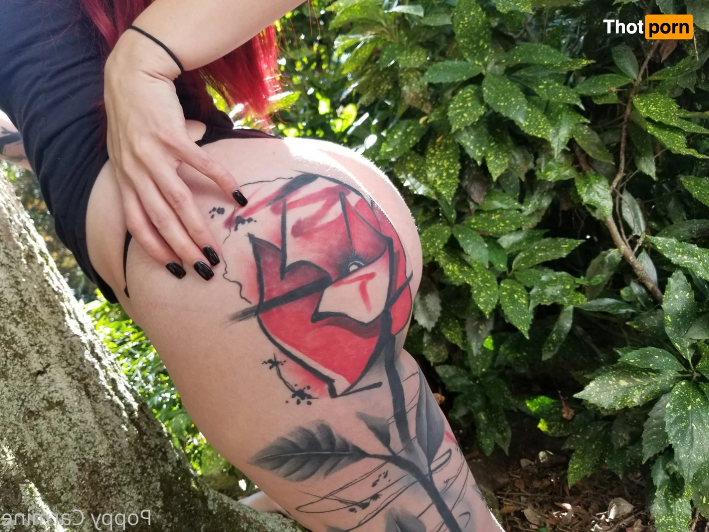 Poppy- XXX Page 7324770