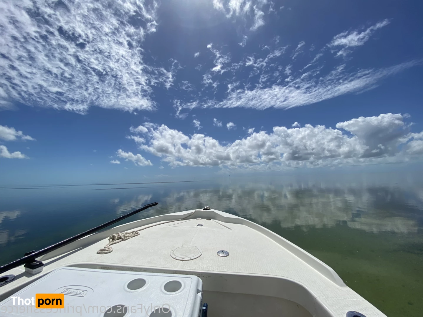 Princess Fierce 7303927