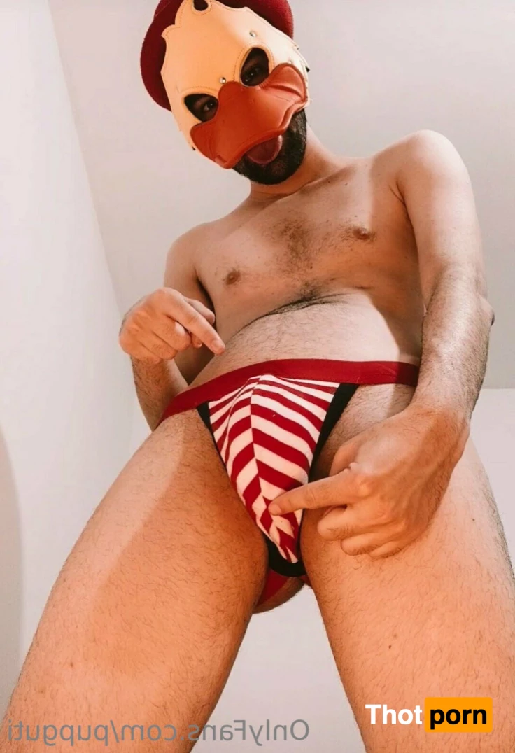 Pup Guti 🏳️‍🌈 7368158