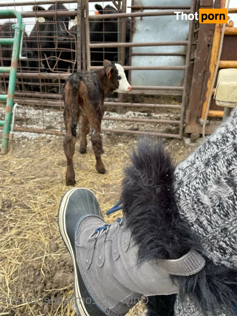 Queen_of_Vans 7296059