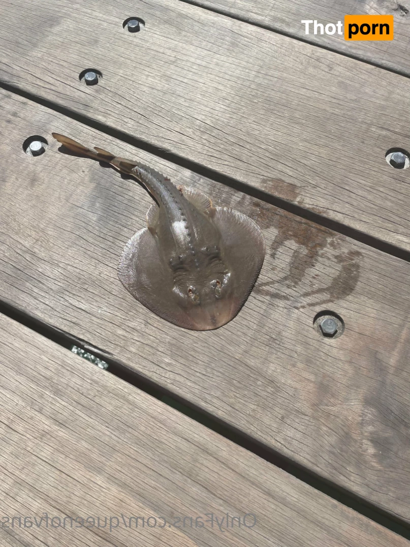 Queen_of_Vans 7296117