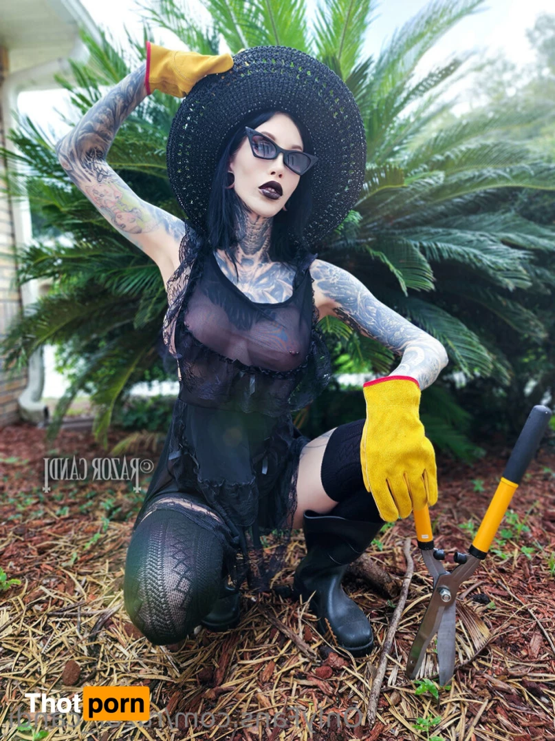 razor_candi 6659091
