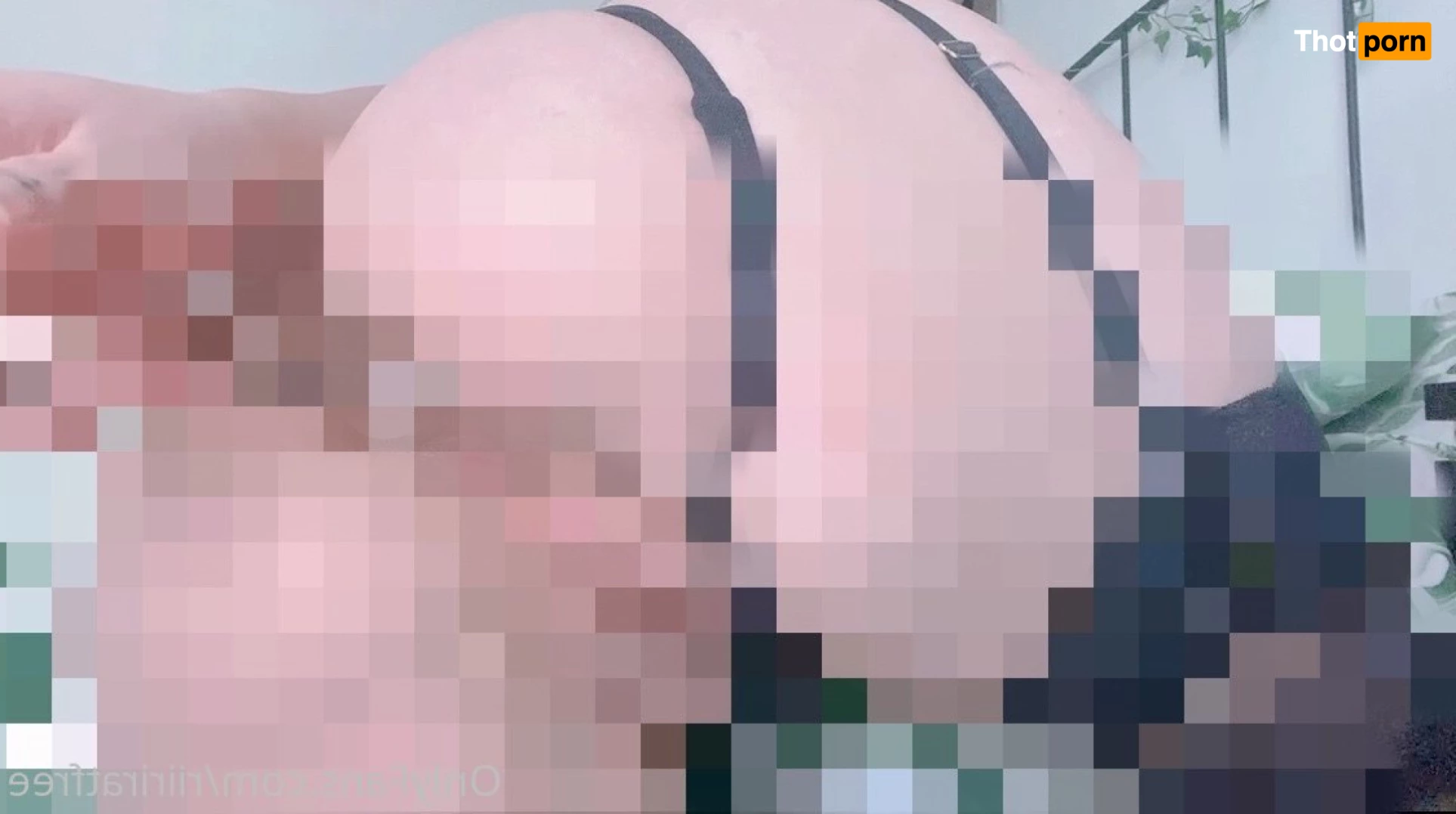 PPV LIBRARY &amp; FREEBIES 📚 6651016