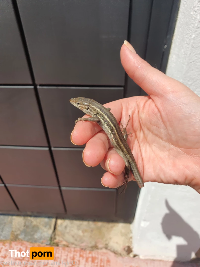 Sabrina Deep 7285250