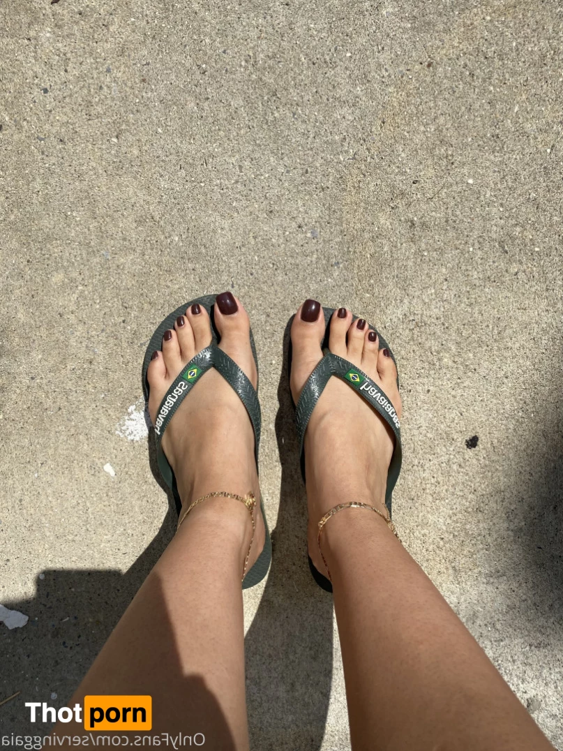 Serving Gaia 7074379