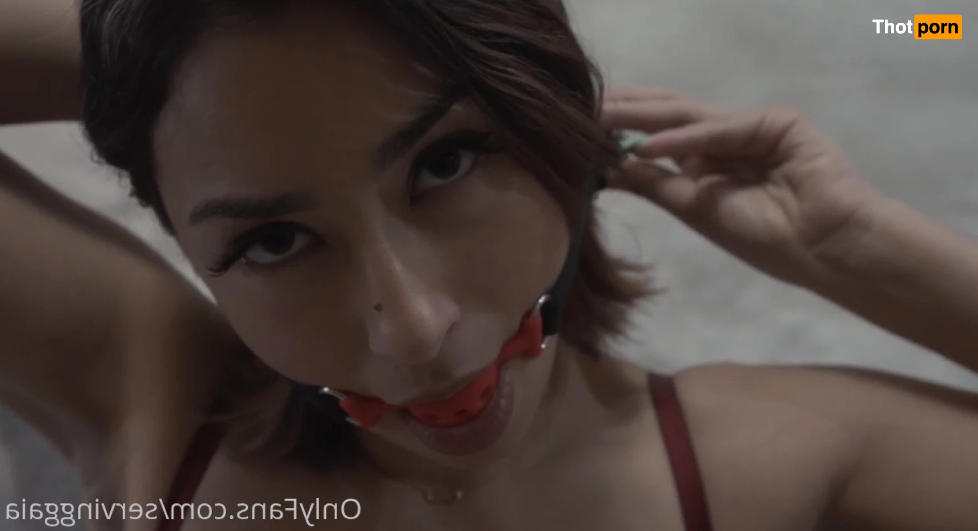 Serving Gaia 7074433