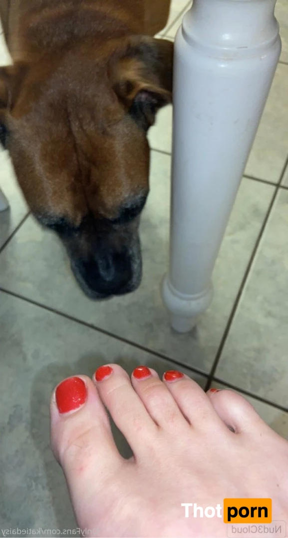 𝒦𝒶𝓉𝒾ℯ 593849