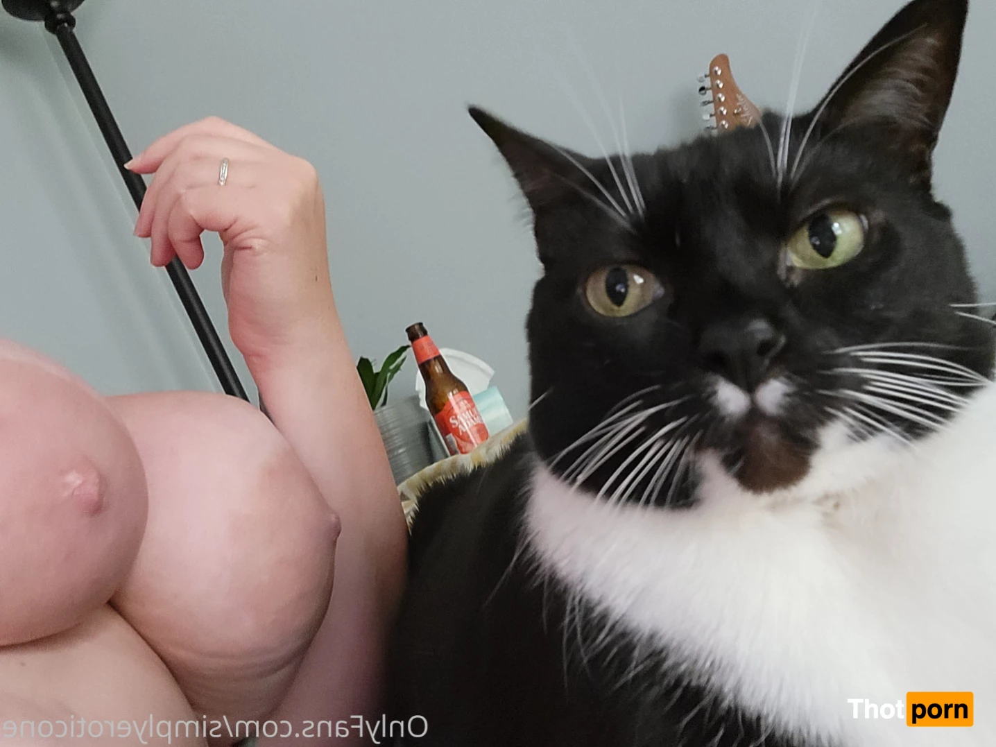 SimplyEroticOne 7063605