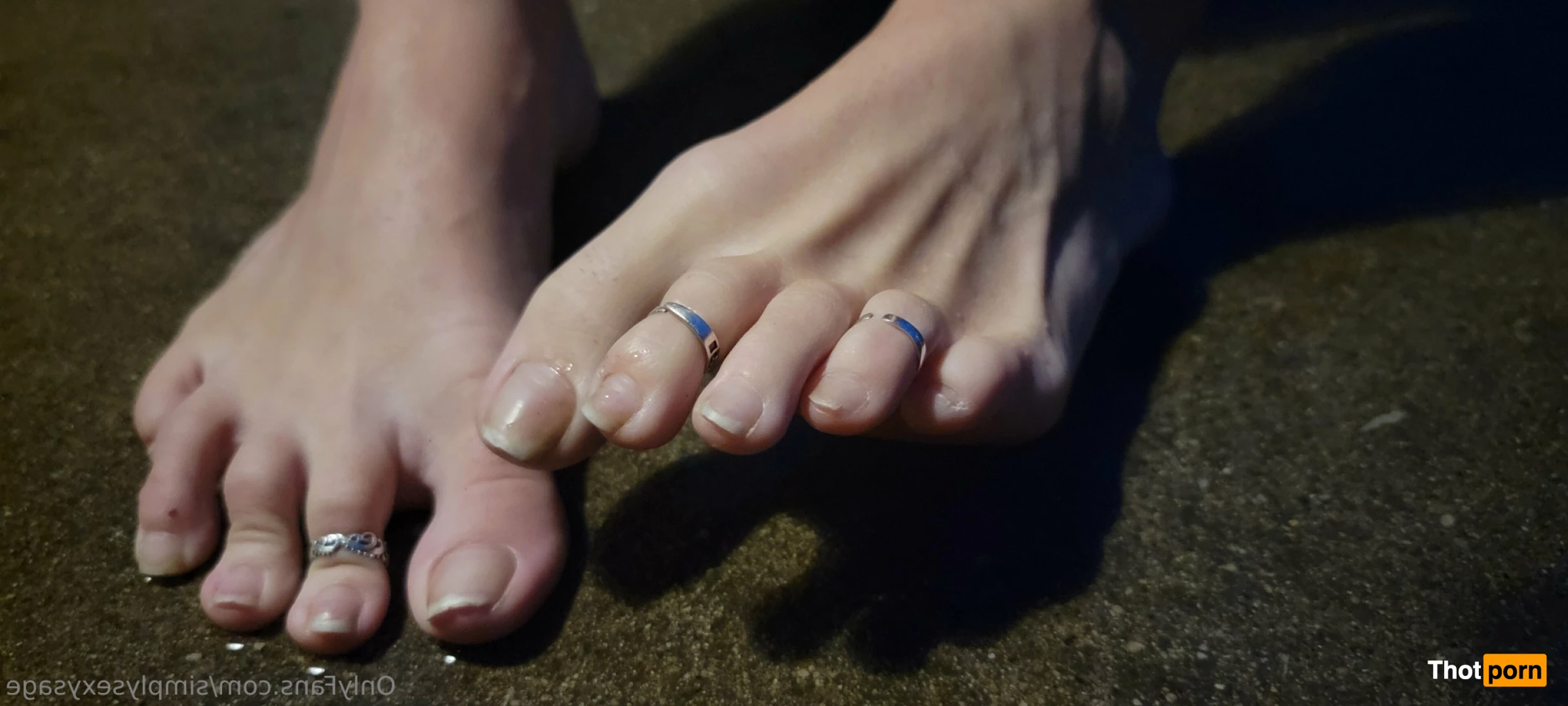 Simply Sexy Sage 6928077