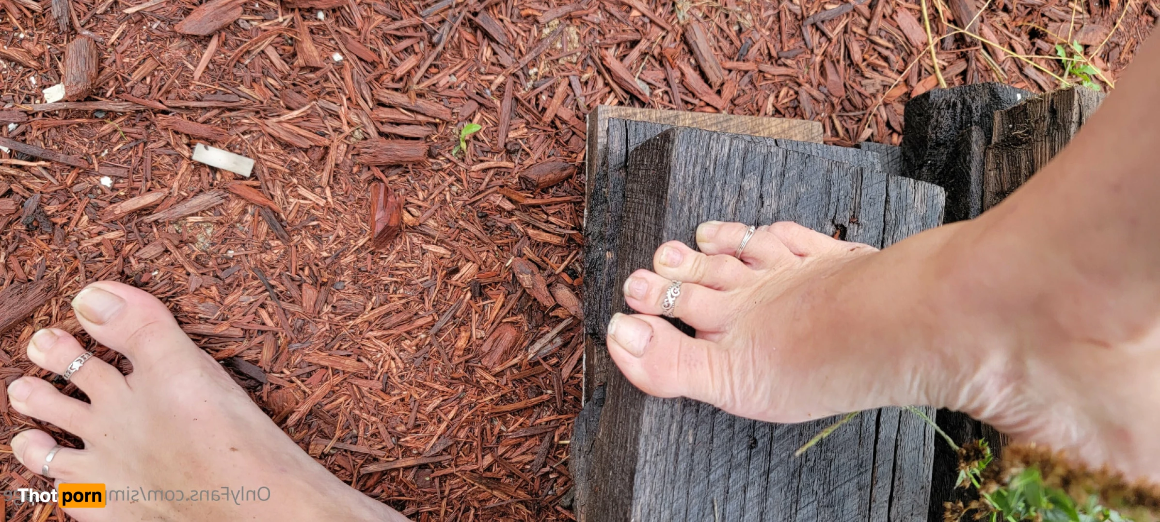 Simply Sexy Sage 6928097