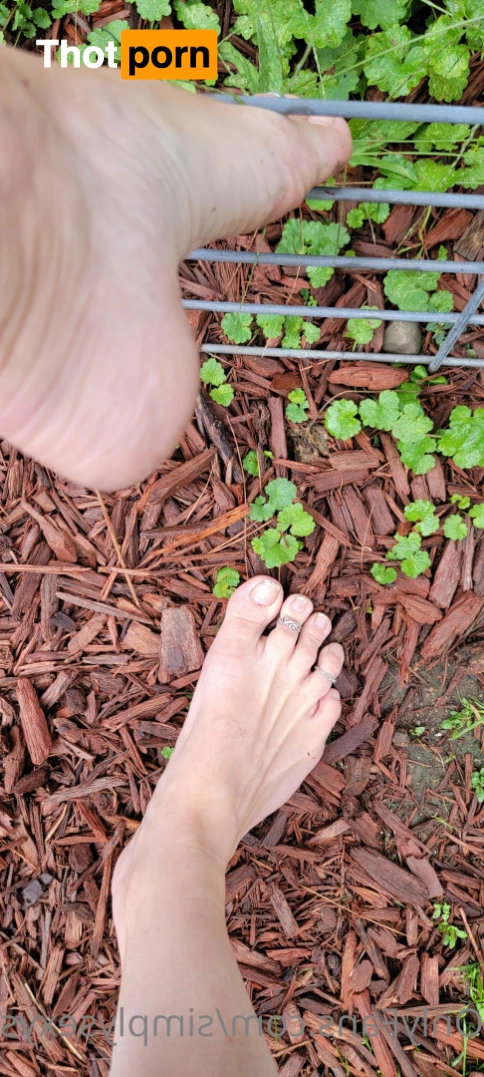 Simply Sexy Sage 6928106