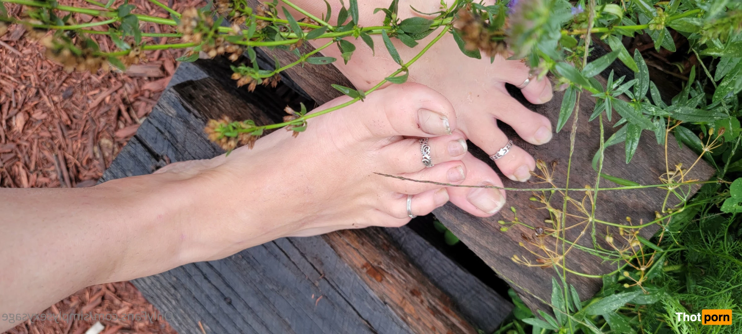 Simply Sexy Sage 6928115