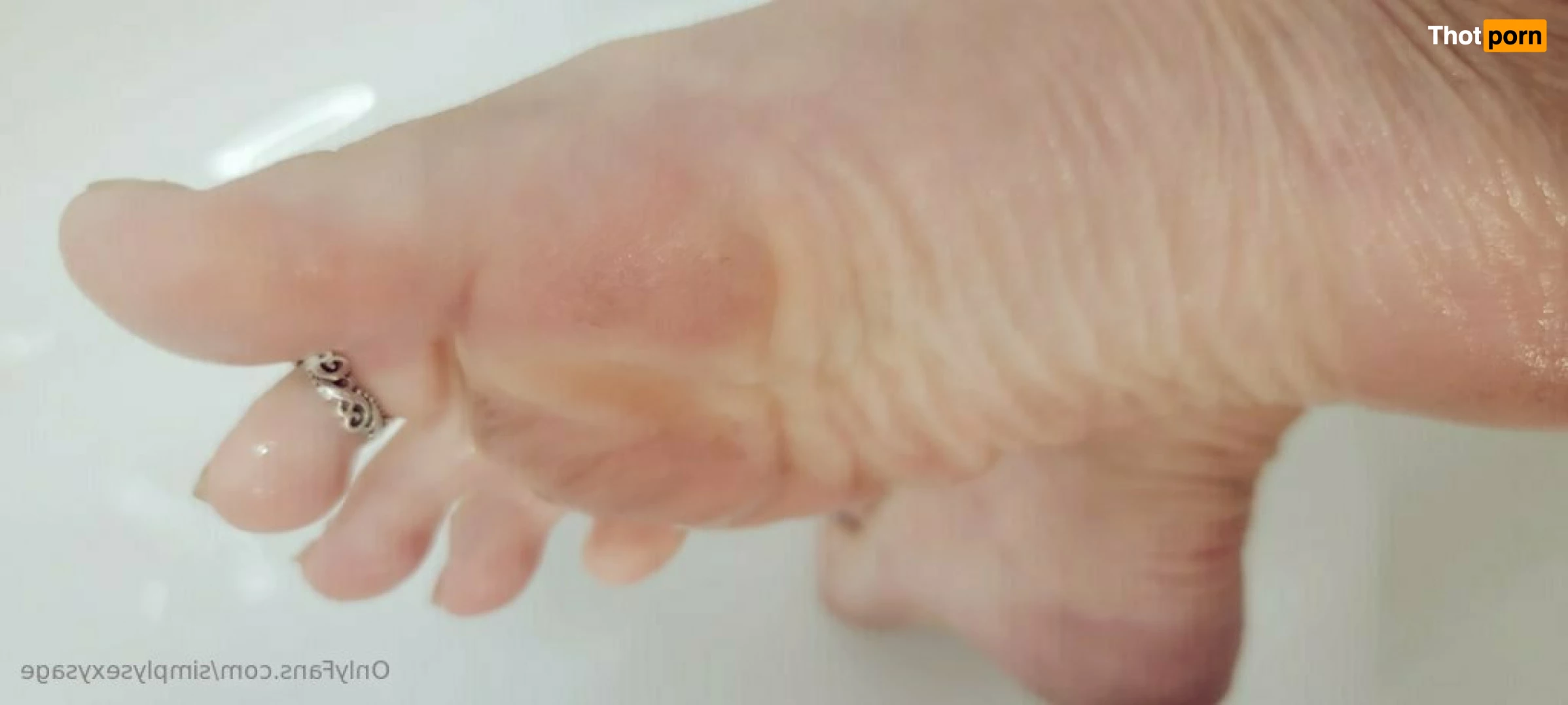 Simply Sexy Sage 6928124