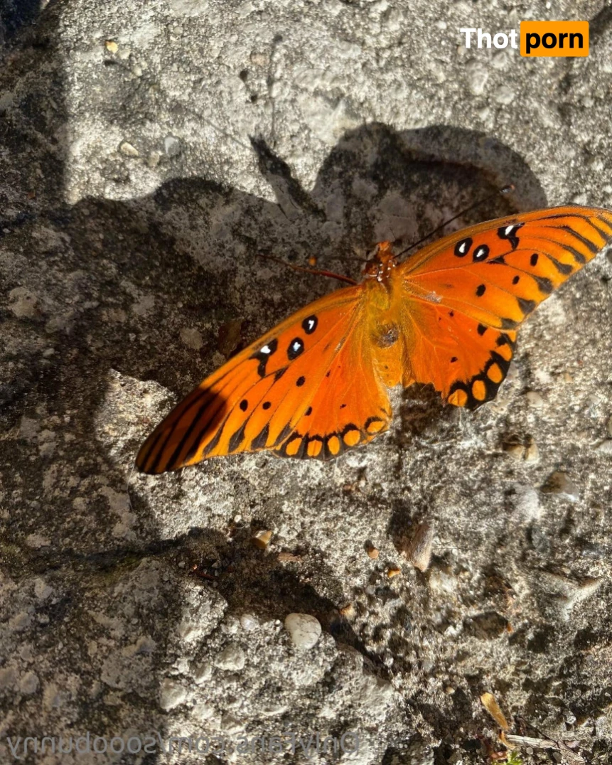 ☆audrey☆ 15088714