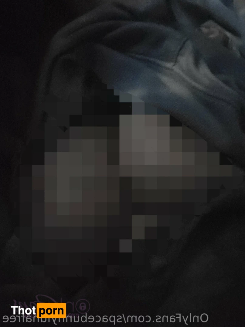 SpaceBunnyLunaFree 13673597