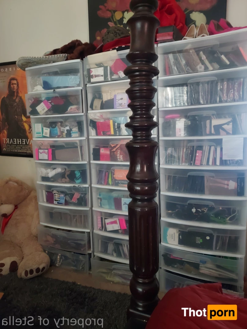 Stella Aeternum 10433898