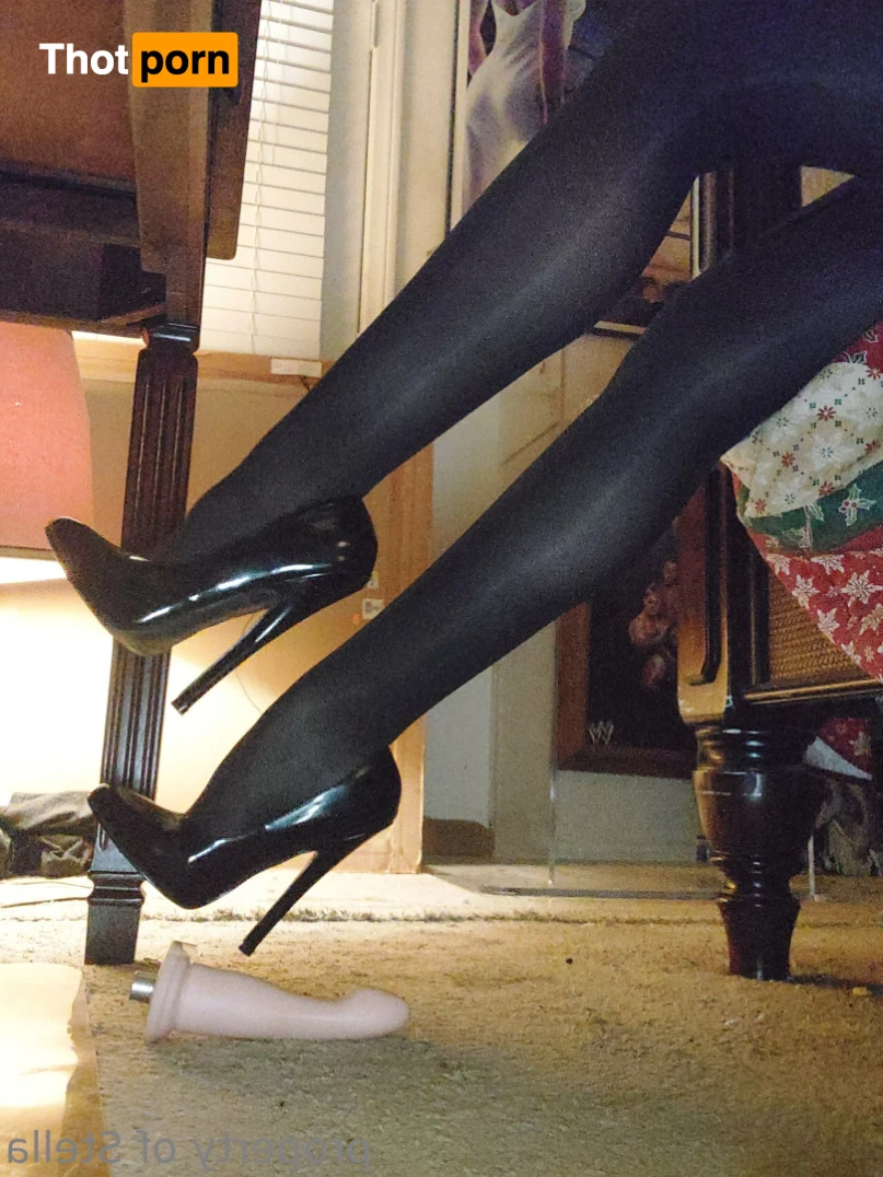 Stella Aeternum 10433903