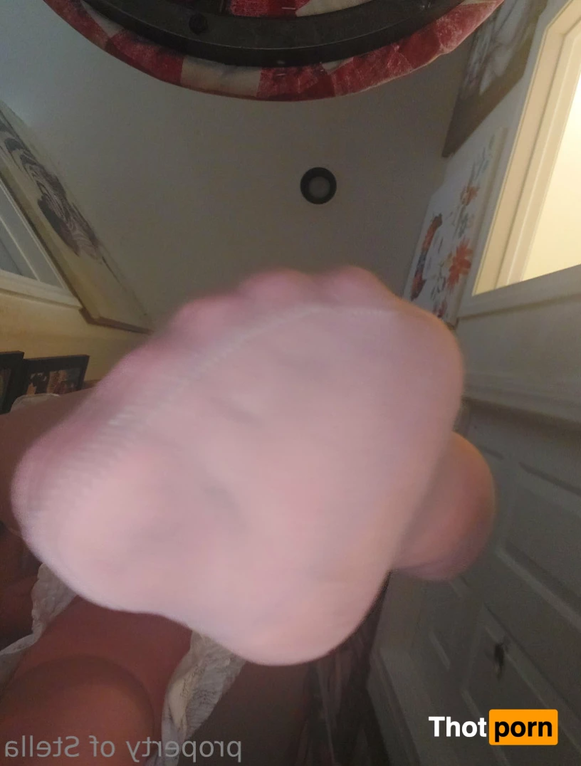 Stella Aeternum 10433921